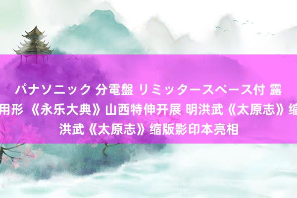 パナソニック 分電盤 リミッタースペース付 露出・半埋込両用形 《永乐大典》山西特伸开展 明洪武《太原志》缩版影印本亮相