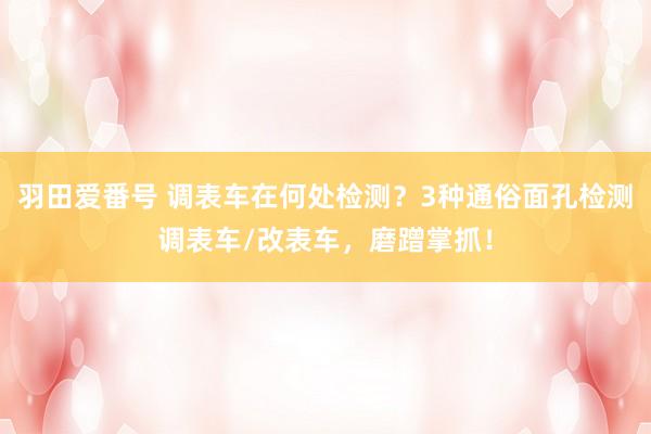 羽田爱番号 调表车在何处检测？3种通俗面孔检测调表车/改表车，磨蹭掌抓！