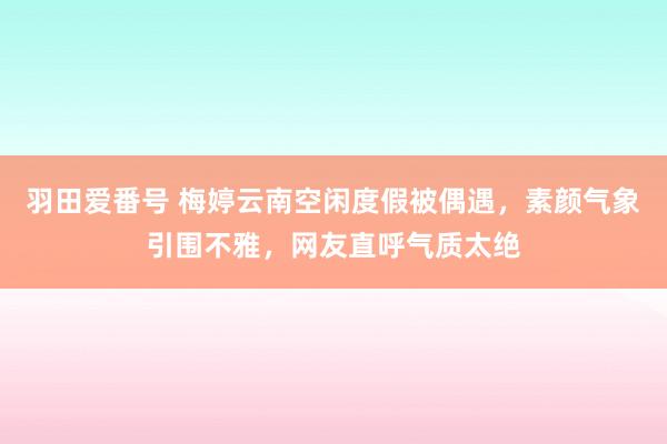 羽田爱番号 梅婷云南空闲度假被偶遇，素颜气象引围不雅，网友直呼气质太绝