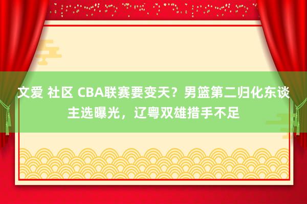 文爱 社区 CBA联赛要变天？男篮第二归化东谈主选曝光，辽粤双雄措手不足