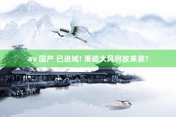 av 国产 已进城! 萧疏大风何故来袭?