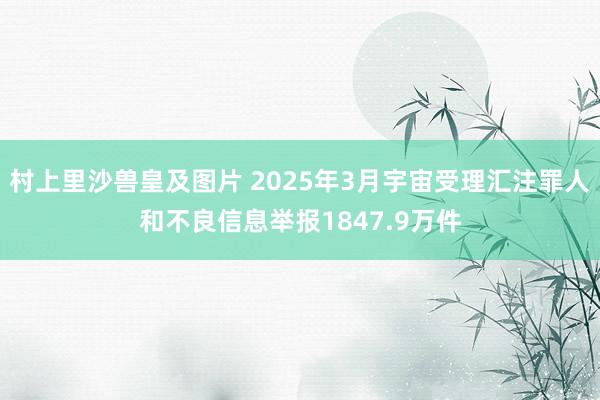 村上里沙兽皇及图片 2025年3月宇宙受理汇注罪人和不良信息举报1847.9万件
