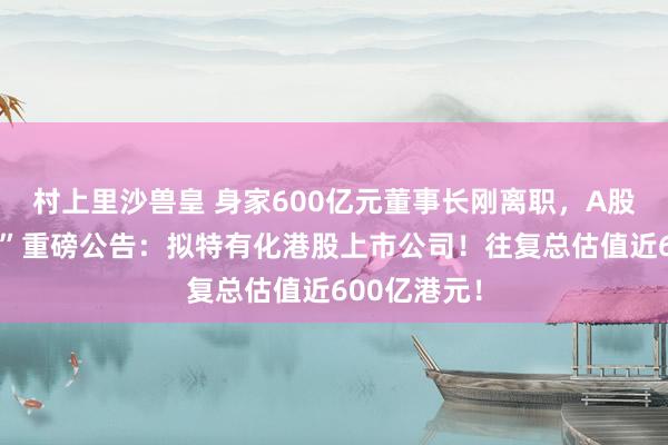 村上里沙兽皇 身家600亿元董事长刚离职，A股“燃气大王”重磅公告：拟特有化港股上市公司！往复总估值近600亿港元！